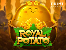 New casino free spins. Buy casino website.4